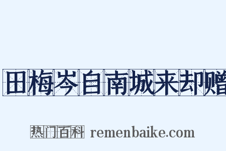 田梅岑自南城来却赠是什么意思的图片